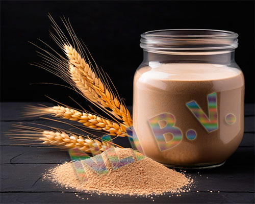 Barley protein