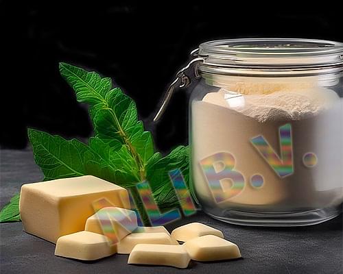 Modified starch