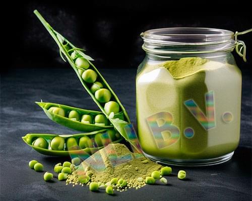 Pea protein