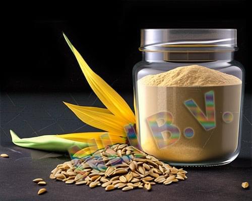 Sunflower protein