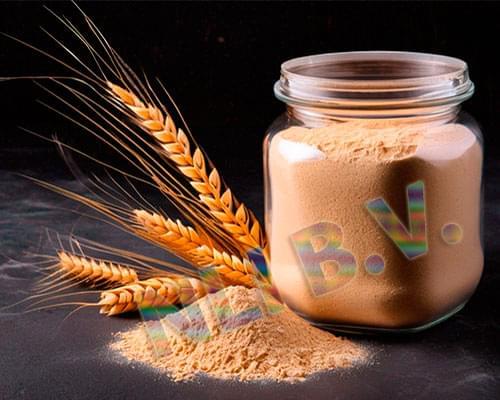 Vital Wheat Gluten